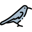 Corvid icon 64x64