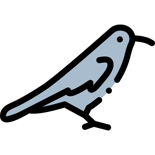 Corvid icon