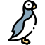 Alcidae icon 64x64