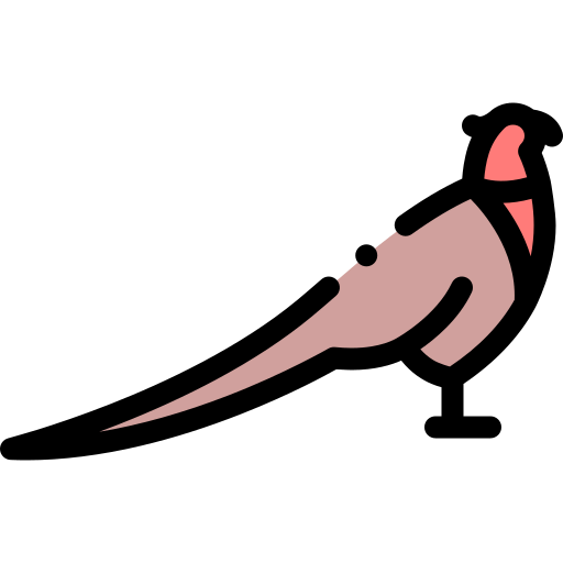Pheasant icon
