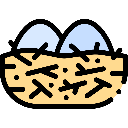 Nest icon