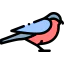 Bullfinch icon 64x64