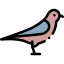 Passerines Ikona 64x64