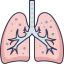 Lungs ícono 64x64