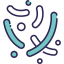 Coccus icon 64x64