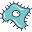 Coccus icon 64x64