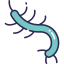 Bacteria biểu tượng 64x64