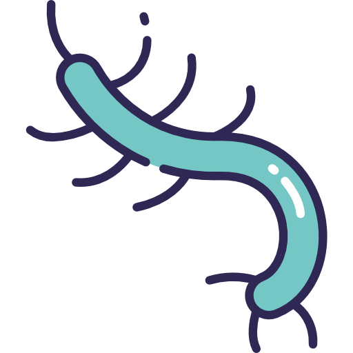 Bacteria icon