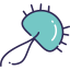Staphylococcus icon 64x64