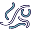 Bacteria biểu tượng 64x64