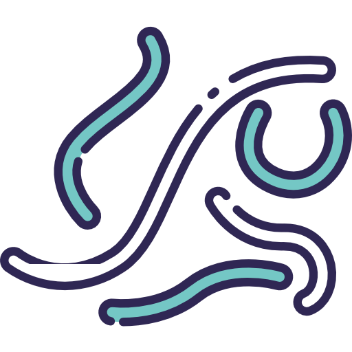 Bacteria icon