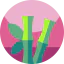 Bamboo icon 64x64