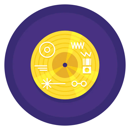 Record icon
