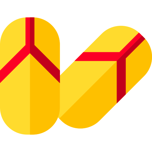 Flip flops icon