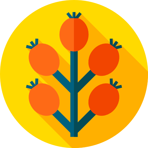 Berries icon