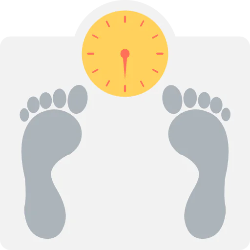 Scale icon