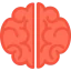 Brain biểu tượng 64x64