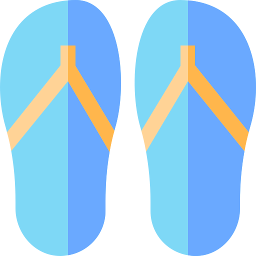 Flip flops icon