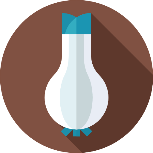 Onion icon