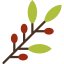 Hebrew ícono 64x64