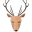 Deer icône 64x64