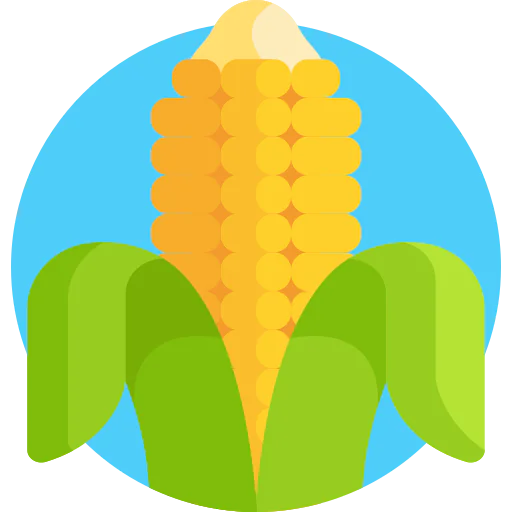 Corn icon