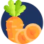 Carrot icon 64x64
