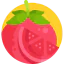 Tomato icon 64x64