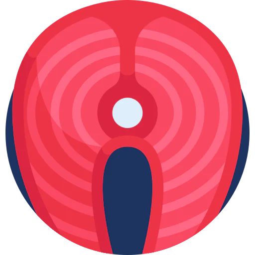 Salmon icon