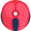 Salmon icon 64x64
