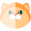 Кот иконка 64x64
