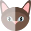 Кот иконка 64x64