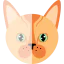 Кот иконка 64x64