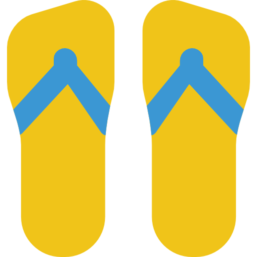 Flip flops icon