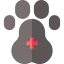 Paw icon 64x64