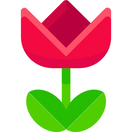 Macro icon