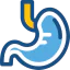 Stomach 상 64x64