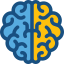 Brain biểu tượng 64x64