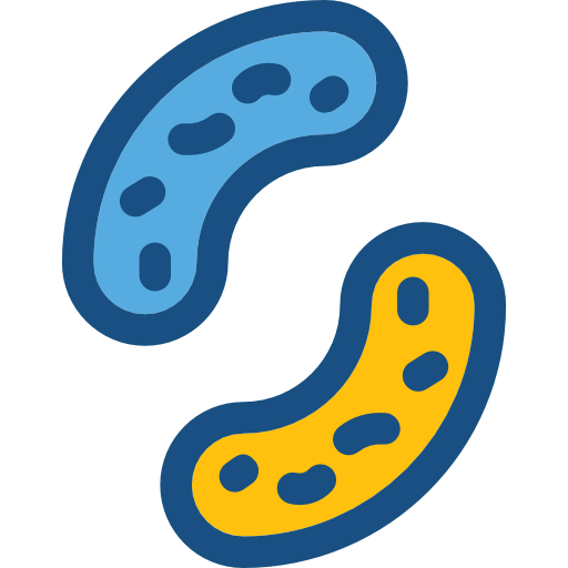 Cells icon