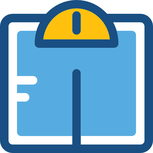 Scale icon
