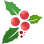 Mistletoe 图标 64x64