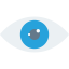 Vision Symbol 64x64
