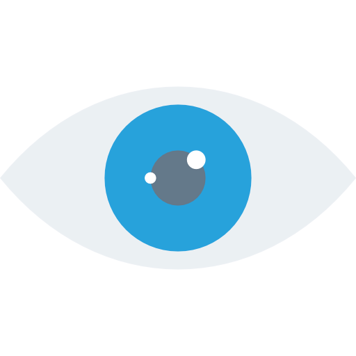 Vision icon