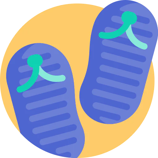 Flip flops icon