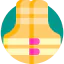 Lifejacket ícono 64x64