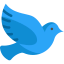 Pigeon icon 64x64