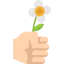 Flower іконка 64x64