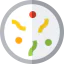 Petri dish icon 64x64