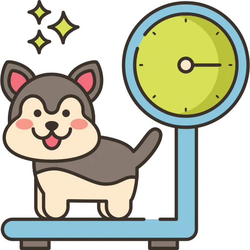 Weight icon