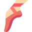 Ballet icon 64x64